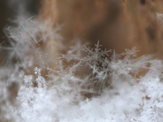 Синоптики: до конца недели на Ямале ударит мороз до -50 градусов