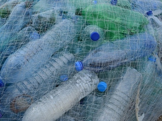Пластиковые бутылки из Пудожа будут отправлять на переработку в Петербург