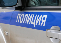 Однорукая лесбиянка зарезала свою сожительницу на юго-востоке Москвы и пыталась запутать следствие