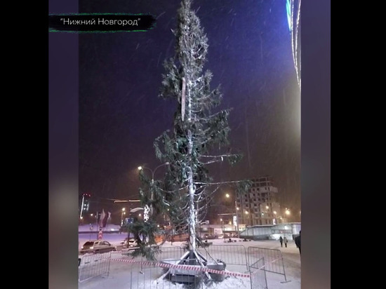 Калужская ёлка вошла в топ чудовищных елок России