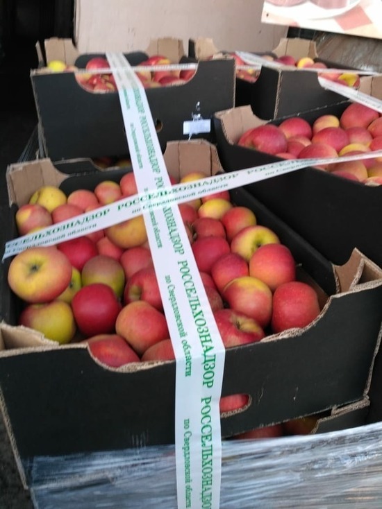 В Свердловской области уничтожили почти две тонны «белорусских» яблок