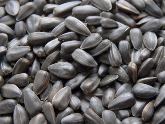 В Мучкапском районе мужчина украл 23 тонны семян подсолнуха