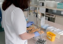 У бывших пациентов гематологического отделения детской больницы в Амурской области обнаружили гепатит...