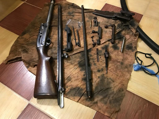Алексинский коллекционер оружия попал под уголовную статью