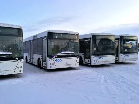 На Ямал доставили новые низкопольные автобусы
