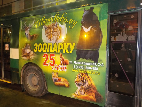 На улицах Иванова стало еще больше нарядных зоо-троллейбусов