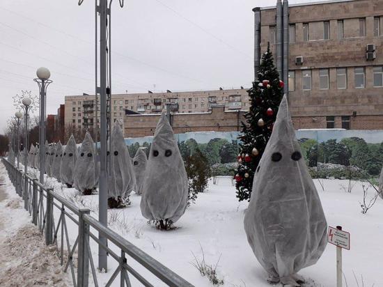 «Страшные елки» в Петербурге напугали жителей города