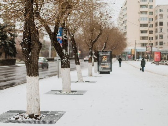 Метели, сильный ветер и мороз до -11ºС идут в Волгоград