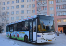 Временно исполняющий обязанности главы Башкирии Радий Хабиров пообещал, что уже в первом квартале 2019 года на уфимских маршрутах появятся современные комфортабельные автобусы