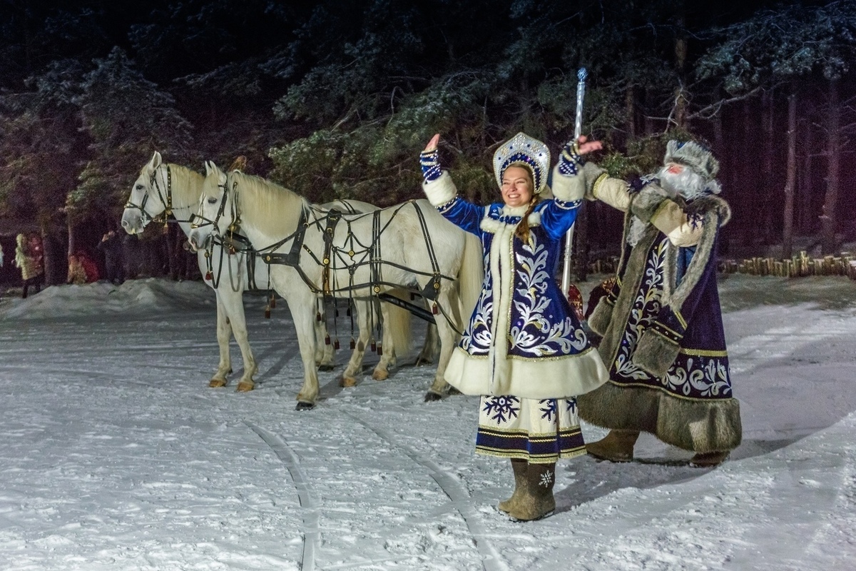 Елена Бондаренко Воронеж. Куда сводить ребенка в Воронеже на новогодние праздники. Куда съездить на новогодние праздники в Воронежской области.