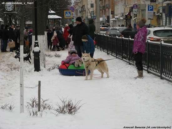 Ездовые собаки покатали жителей Твери по главной улице города