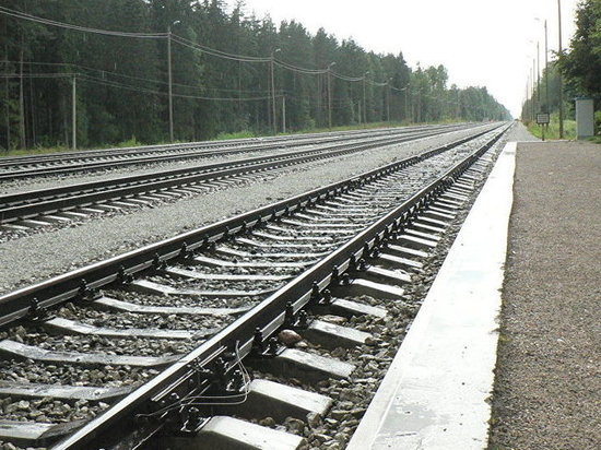 Двое воришек попытались разобрать железную дорогу в Тверской области