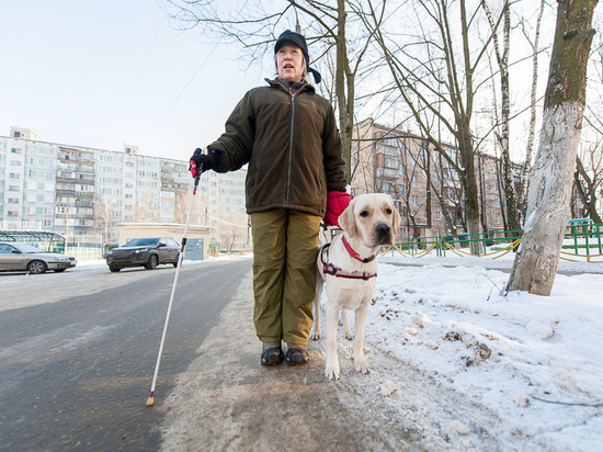 В Ивановский магазин не пустили незрячего инвалида с собакой-поводырем