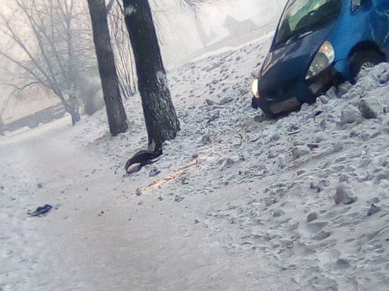 В Прокопьевске машина перевернулась после столкновения с деревом