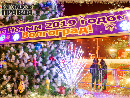 Коллектив «МК в Волгограде» поздравляет с годом Желтой Свиньи