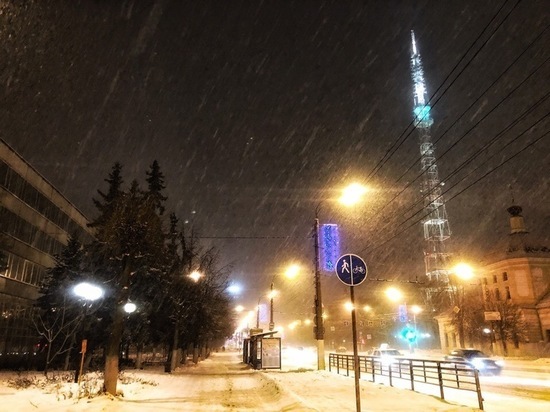 Новый год начнется с бури. МЧС сообщило о метели и мощном ветре в Тверской области