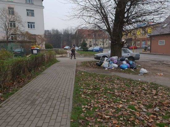 От 30 до 50 жалоб на некачественную уборку мусора поступают главе администрации Калининграда Алексею Силанову в первые дни наступившего года.