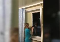 В СМИ попало видео, как женщина в домашней одежде с криком "С Новым годом!", открывает окно и начинает стрельбу из автомата Калашникова