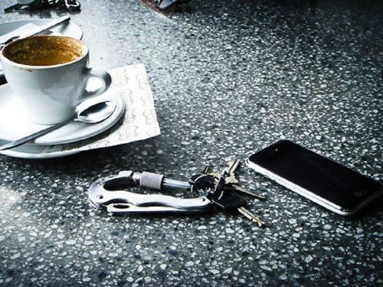 Сотрудница северодвинского бара рискует сесть за чаевые в виде телефона