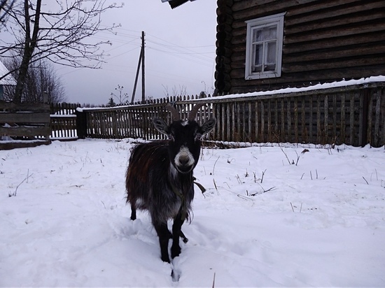 В Архангельской области сегодня по-зимнему морозно