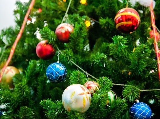 Волгоградцев 6 января ждут у главной елки на «Ночь перед Рождеством»
