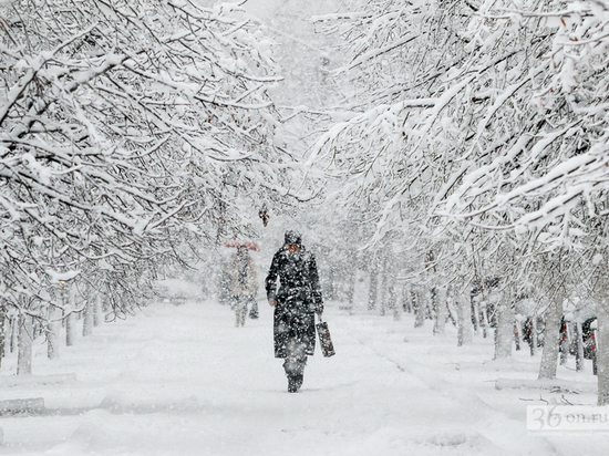 На этой неделе в Воронеже ожидаются снегопады и легкий мороз