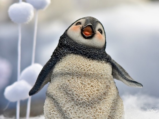 День пингвина проводят в Тюмени