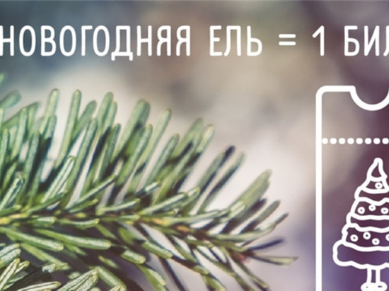 Чебоксарцев призвали нести использованные ели в зоопарк Чебоксарцев призвали нести использованные ели в зоопарк