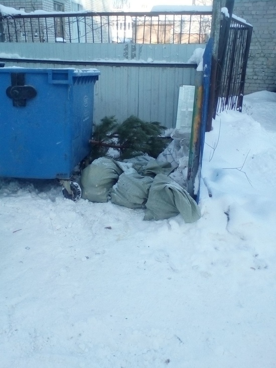 О "мусорных" нарушениях ульяновцы могут сообщать на "горячие линии"