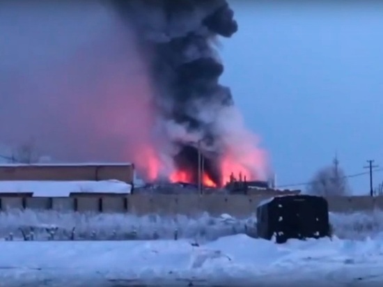 Сгоревший в Новосергиевском районе завод признают банкротом