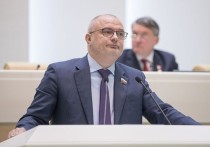 Заявление сенатора Андрея Клишаса о допустимости употребления слова "Госдура" не нашло понимания среди коллег по парламенту