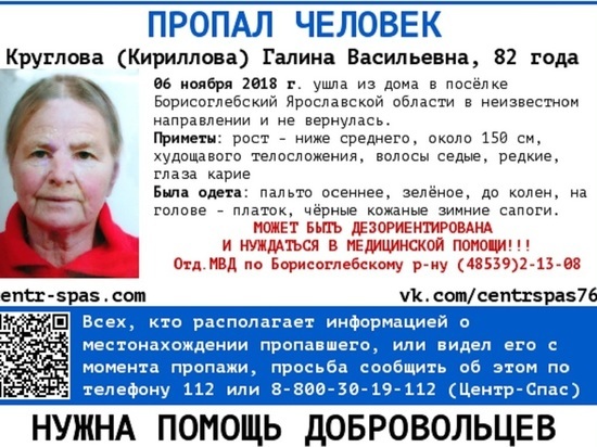 Ищут спасатели, ищет полиция: в Ярославской области пропала бабушка-пенсионерка