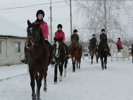 В Ульяновской области построят современную конно-спортивную школу