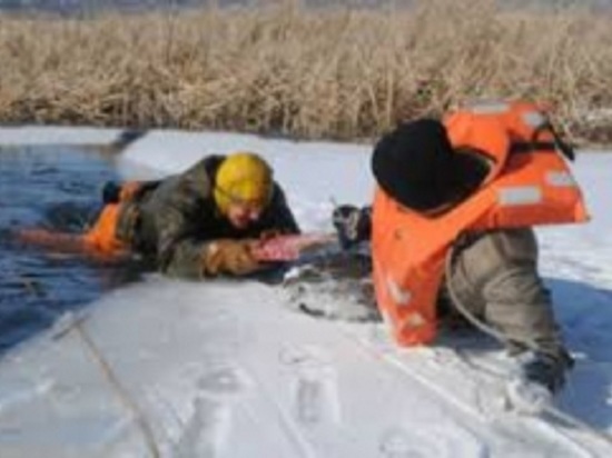 Четырнадцать человек спасали провалившегося под лед в Кинешме мужчину