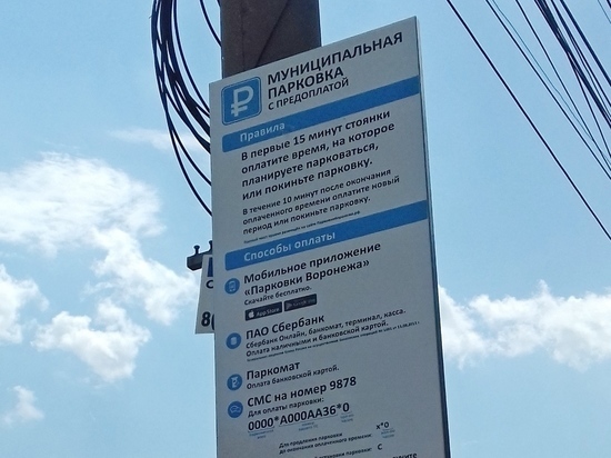 Платные парковки в Воронеже заинтересовали УФАС