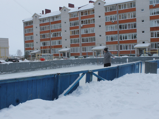 Активисты ОНФ нашли нарушения при мониторинге ульяновских катков