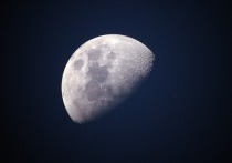 Семена хлопка впервые проросли на Луне на борту китайского зонда «Чанъэ-4», севшего на обратной стороне спутника Земли