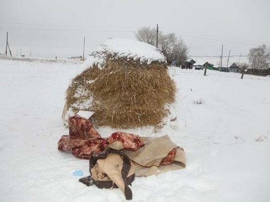 СК в Пономаревском районе разыскивает женщину, выкинувшую на мороз новорожденного