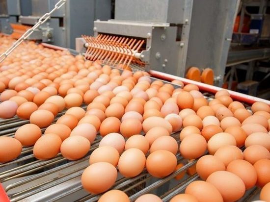 Цены на яйца в Волгоградской области перестанут расти?