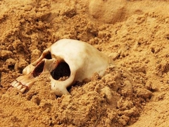 На границе с Забайкальем найден череп древнейшего человека