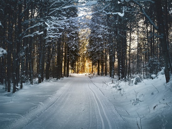 Прогноз погоды на 17 января в Рязани: легкий мороз и небольшой снег