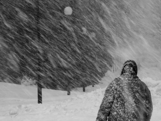 Мощный снегопад и метель обещают синоптики в Тверской области
