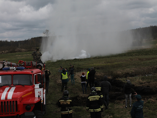 Противопожарную стратегию Куршской косы обсудили в Литве