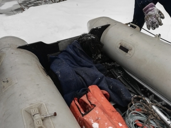 В Брянском районе спасатели вызволили из ледяного плена собаку