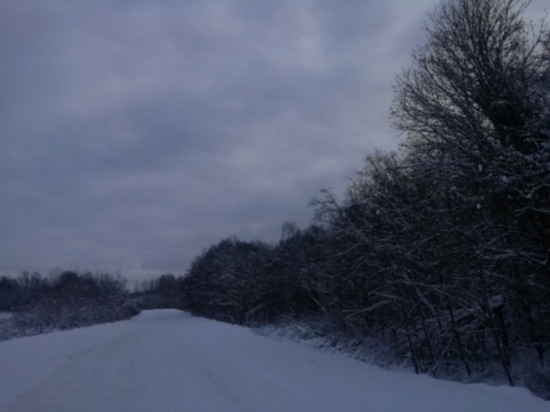 Сегодня в Смоленской области до минус семи мороза, небольшой снег