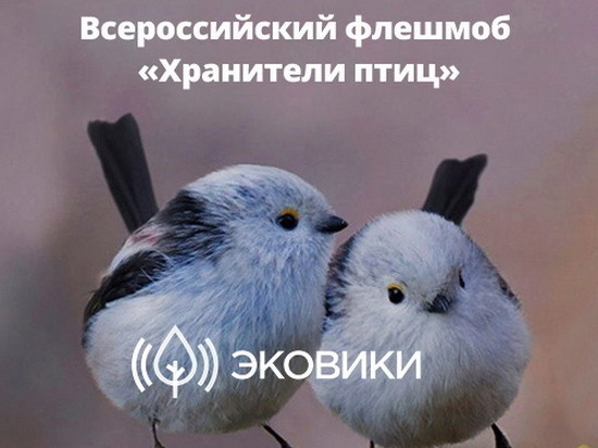 Воронежцев пригласили на флешмоб «Хранители птиц»