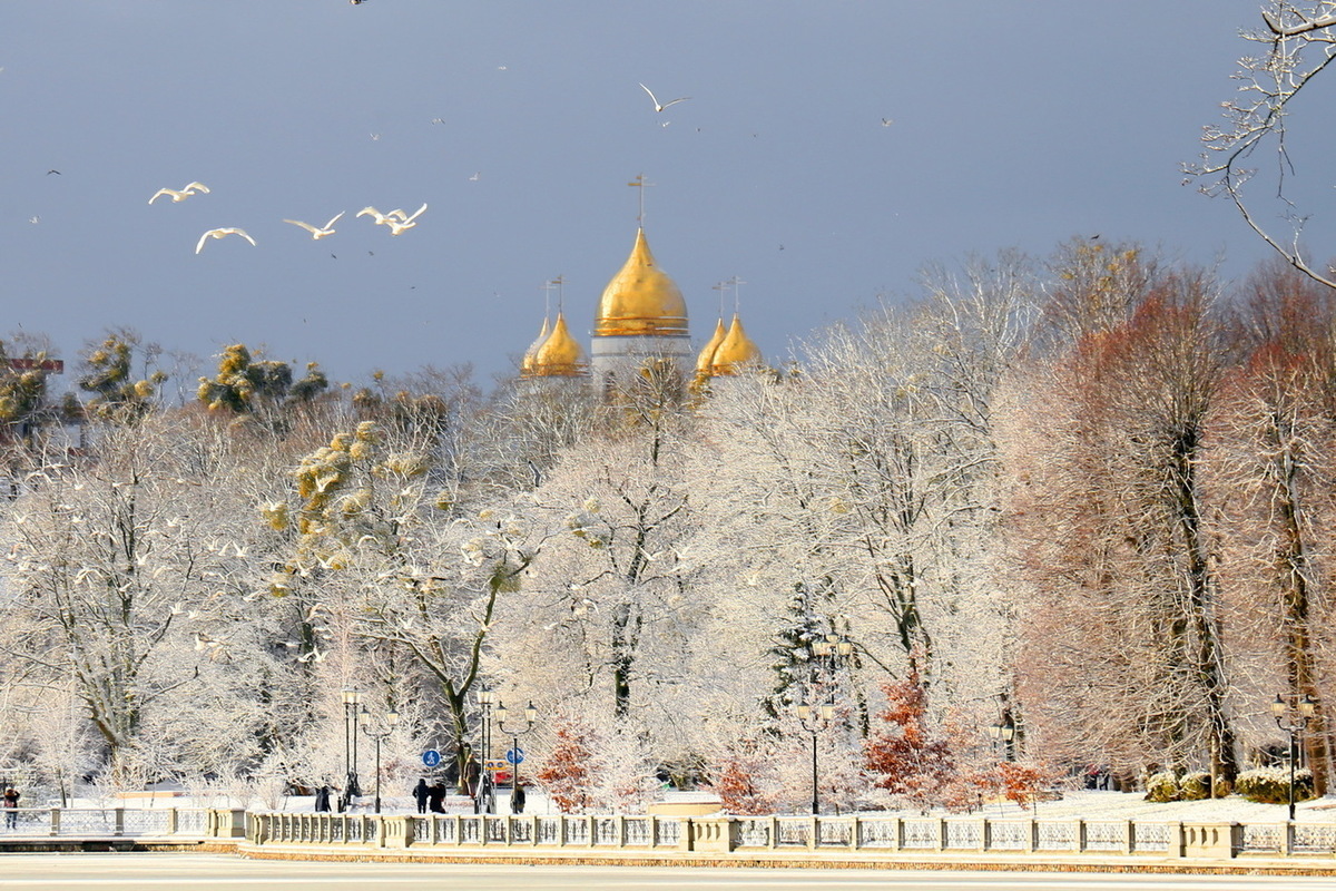 Кафедральный собор Калининград снег