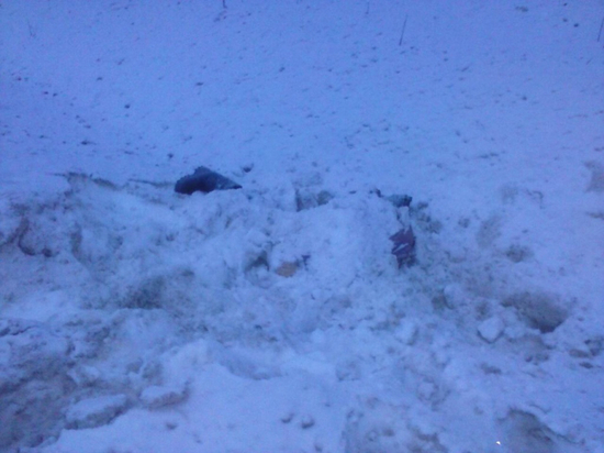 Житель Чувашии пытался скрыть следы смертельного ДТП, присыпав тело снегом