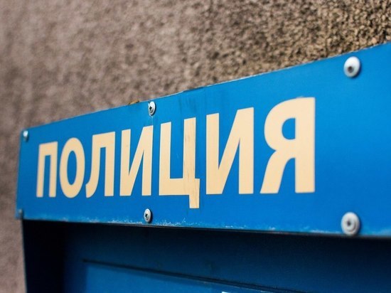 В МВД рассказали о чрезвычайно нелепом угоне в Олонецком районе