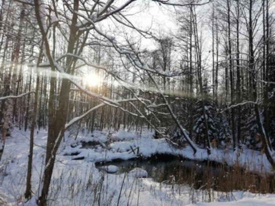 В Смоленской области до минус 12 мороза, небольшой снег
